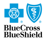 Blue Cross Blue Shield agent in Katy