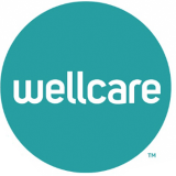 wellcare agent in katy texas