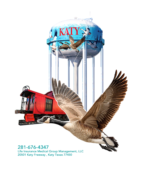 katy insurance health agency